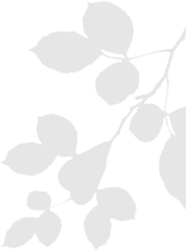 shape-one